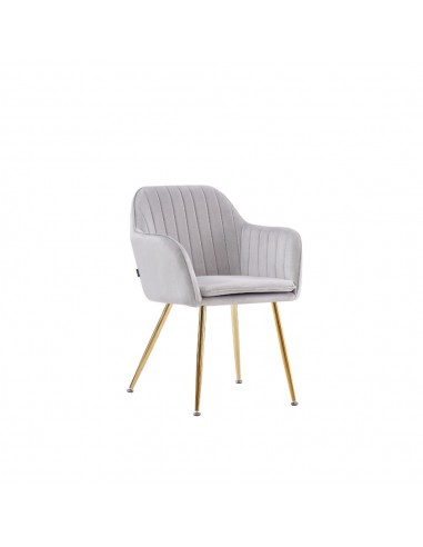 Lot de 2 chaises Chic KANVAS en velours pieds Gold shop