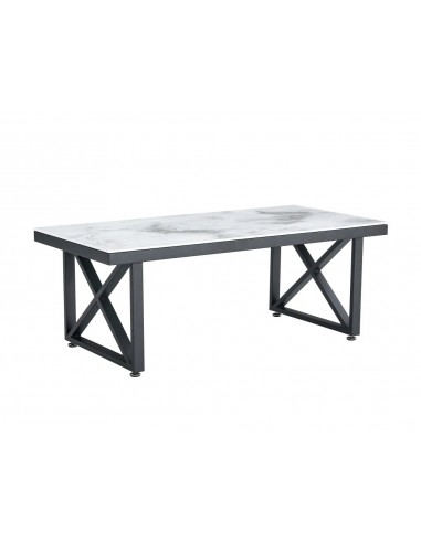 Table basse Deluxe LEVANTO structure métal noir plateau en verre 120x60 cm Livraison rapide