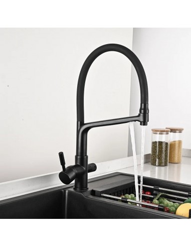 Robinet cuisine évier flexible double robinet purificateur d'eau - Noir - Laiton en linge